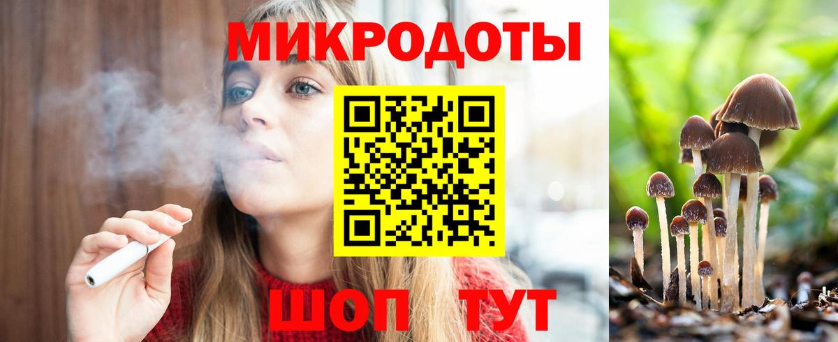 Галлюциногенные грибы GOLDEN TEACHER  Вход с VPN  Бердск 